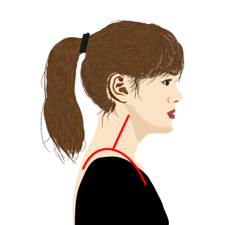 猫背矯正 姿勢矯正 金子鍼灸接骨院 国分寺駅徒歩7分 早実正門横の接骨院 猫背矯正 姿勢矯正 金子鍼灸接骨院 国分寺駅徒歩7分 早実正門横の接骨院